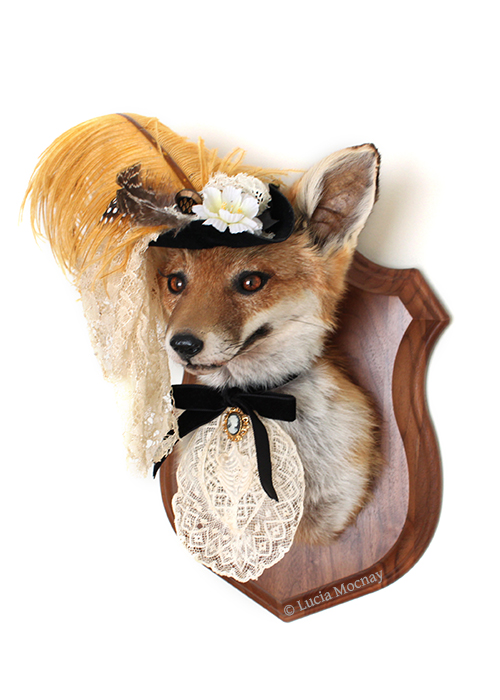 Anthropomorphic Taxidermy Art Lady Fox by Lucia Mocnay