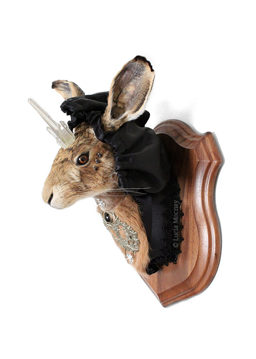 Anthropomorphic Taxidermy Art Hare by Lucia Mocnay