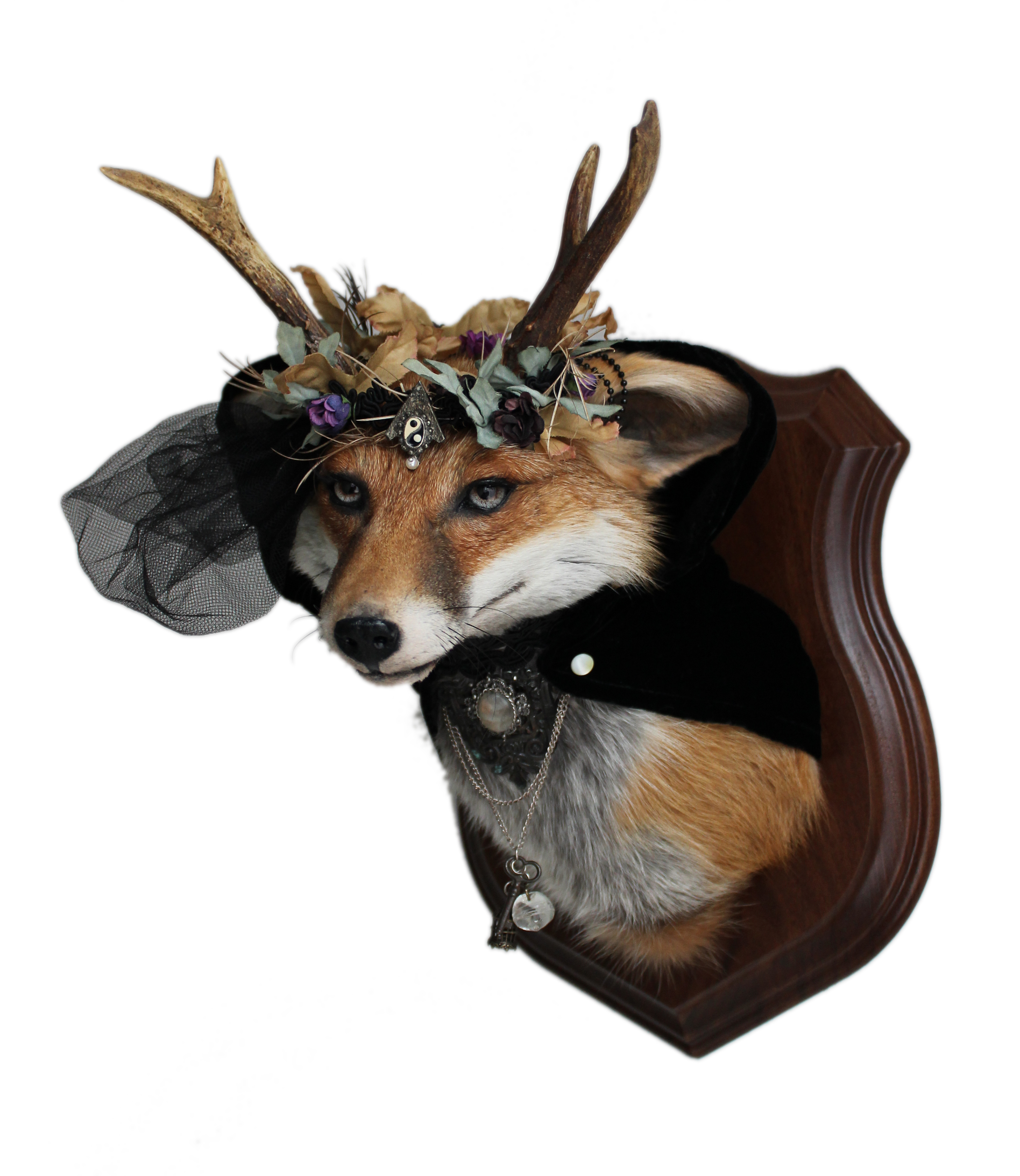 Ms Effra Autumn - The Forest Witch