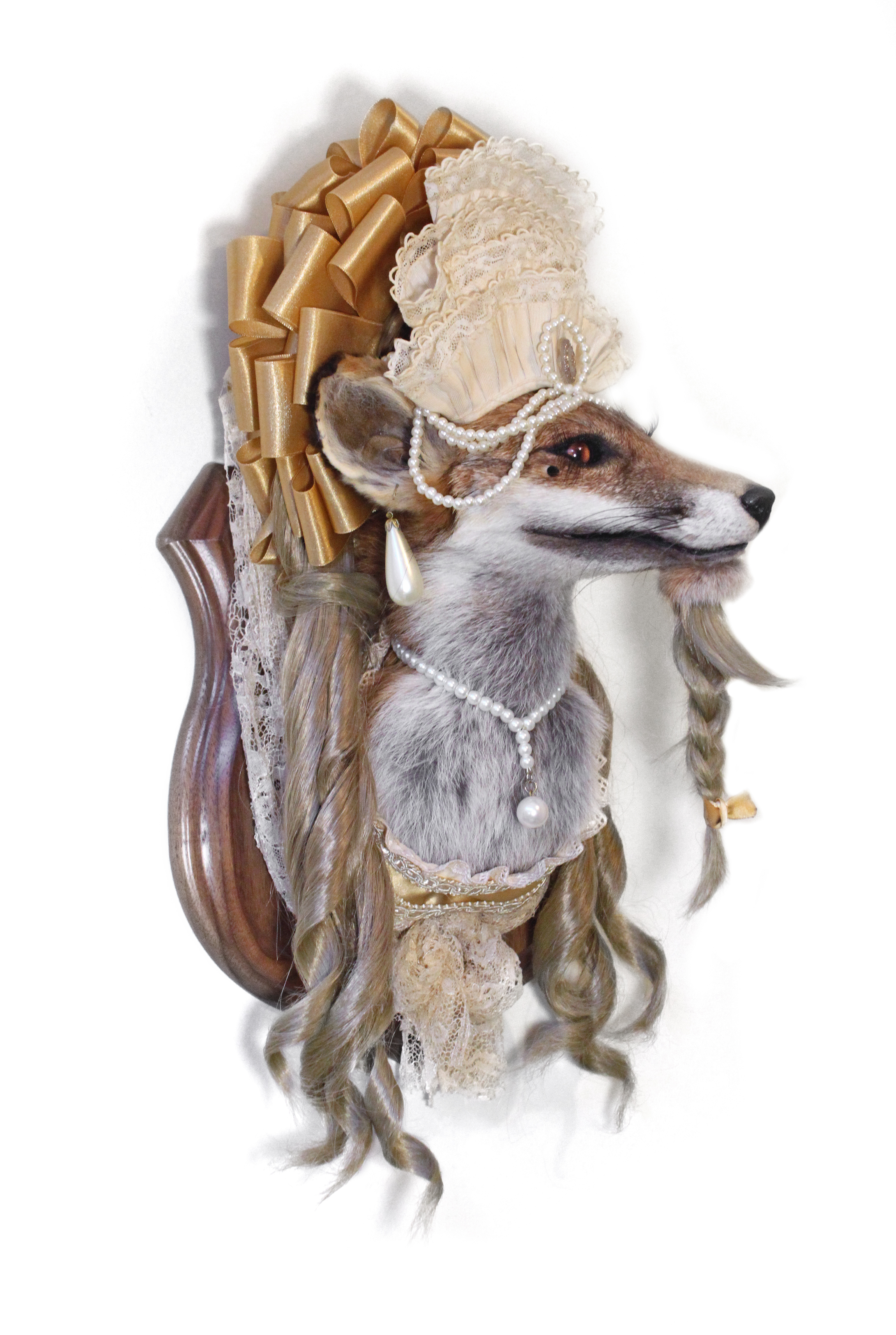 Anthropomorphic Taxidermy Fox Bearded Princess by Lucia Mocnay