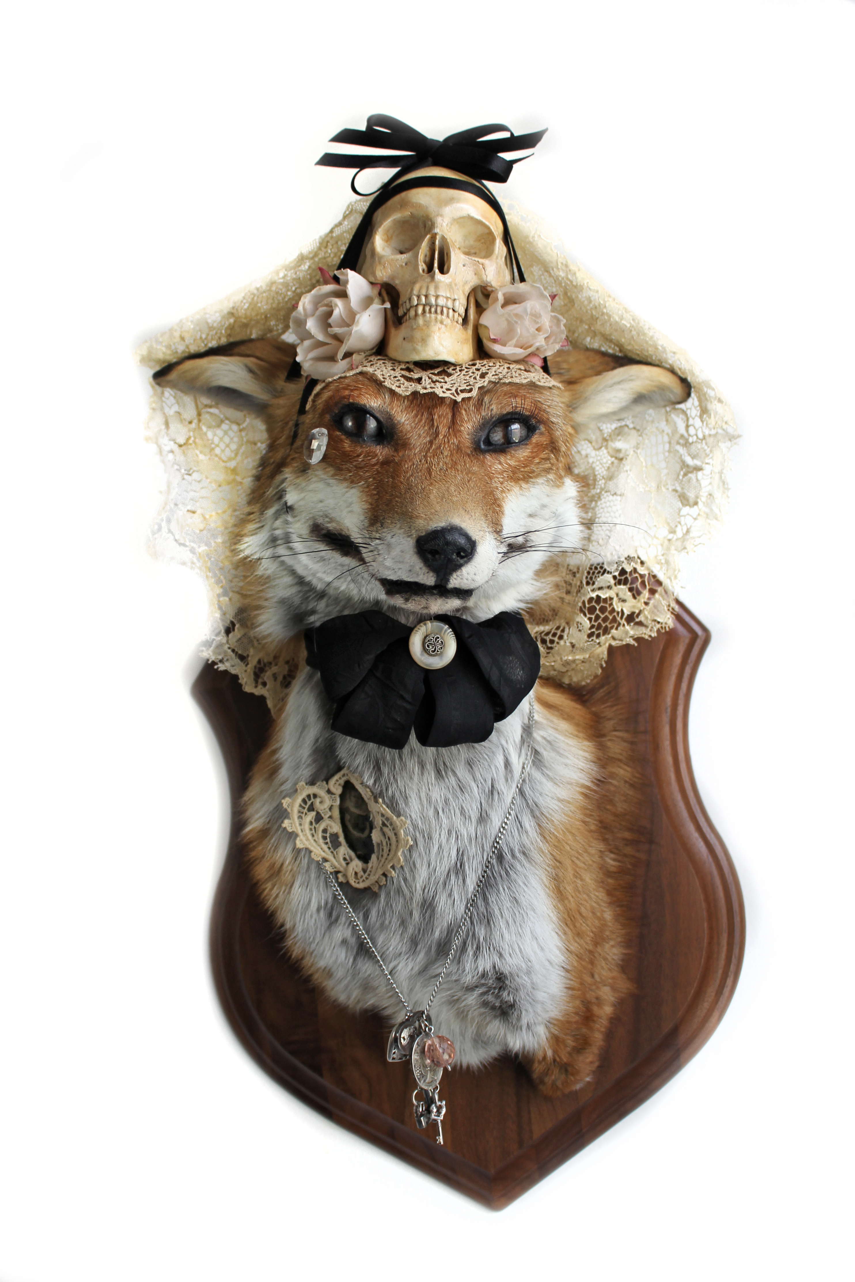 Anthropomorphic Taxidermy Art Fox Kitsune by Lucia Mocnay