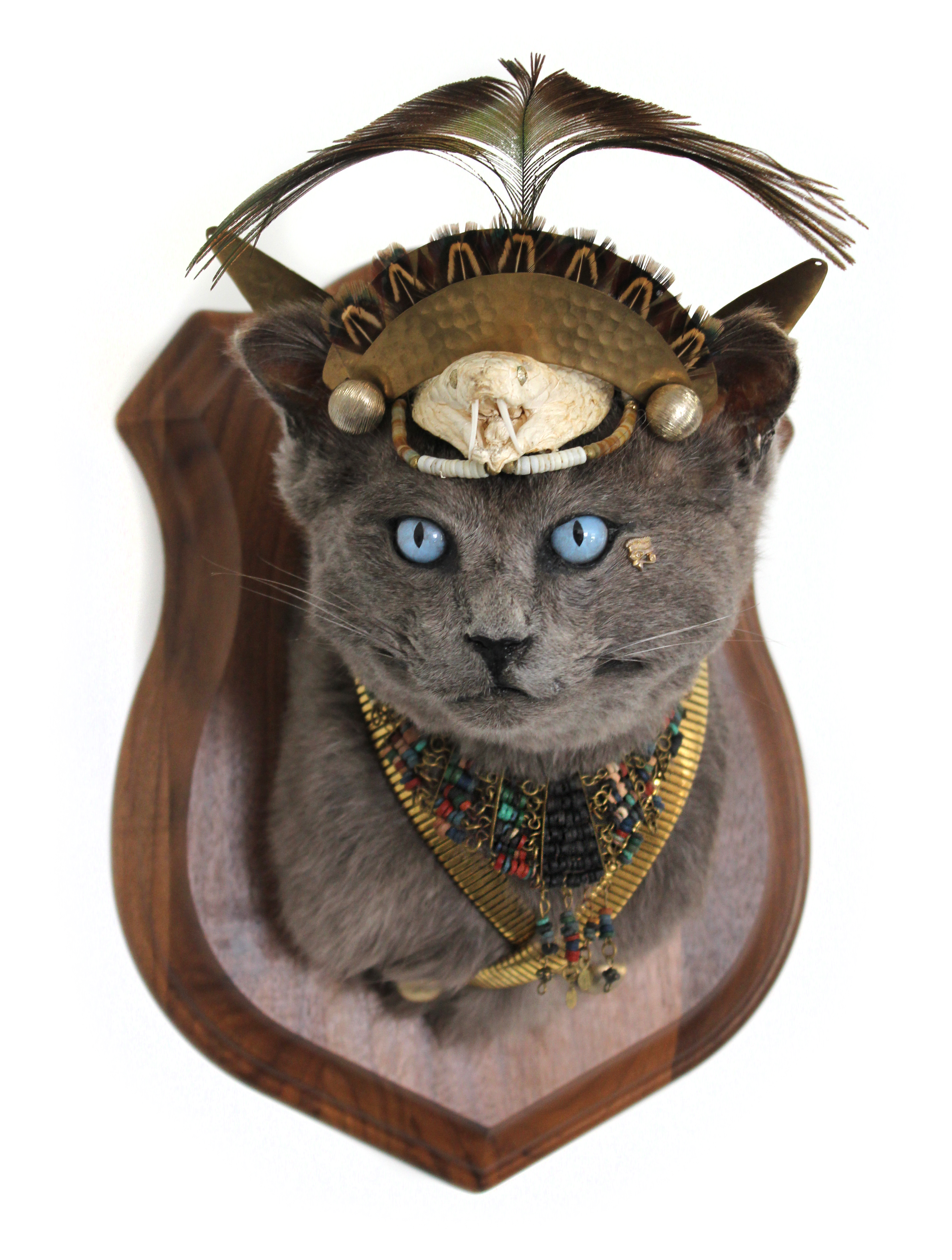 Anthropomorphic Taxidermy Egyptian Cat by Lucia Mocnay