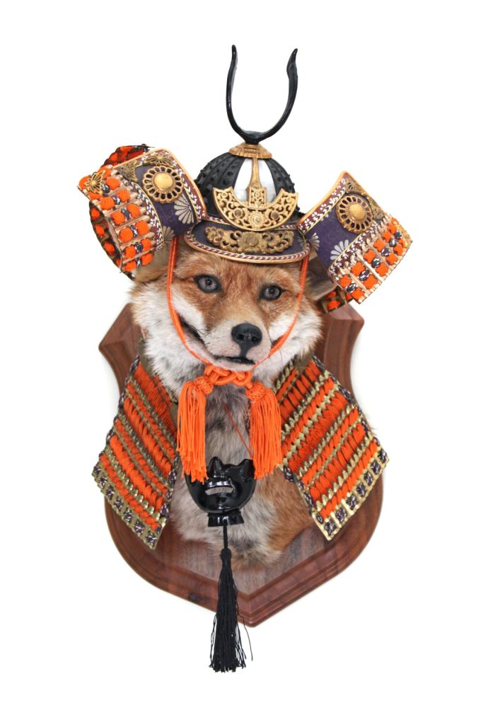 Anthropomorphic Taxidermy Samurai Fox by Lucia Mocnay