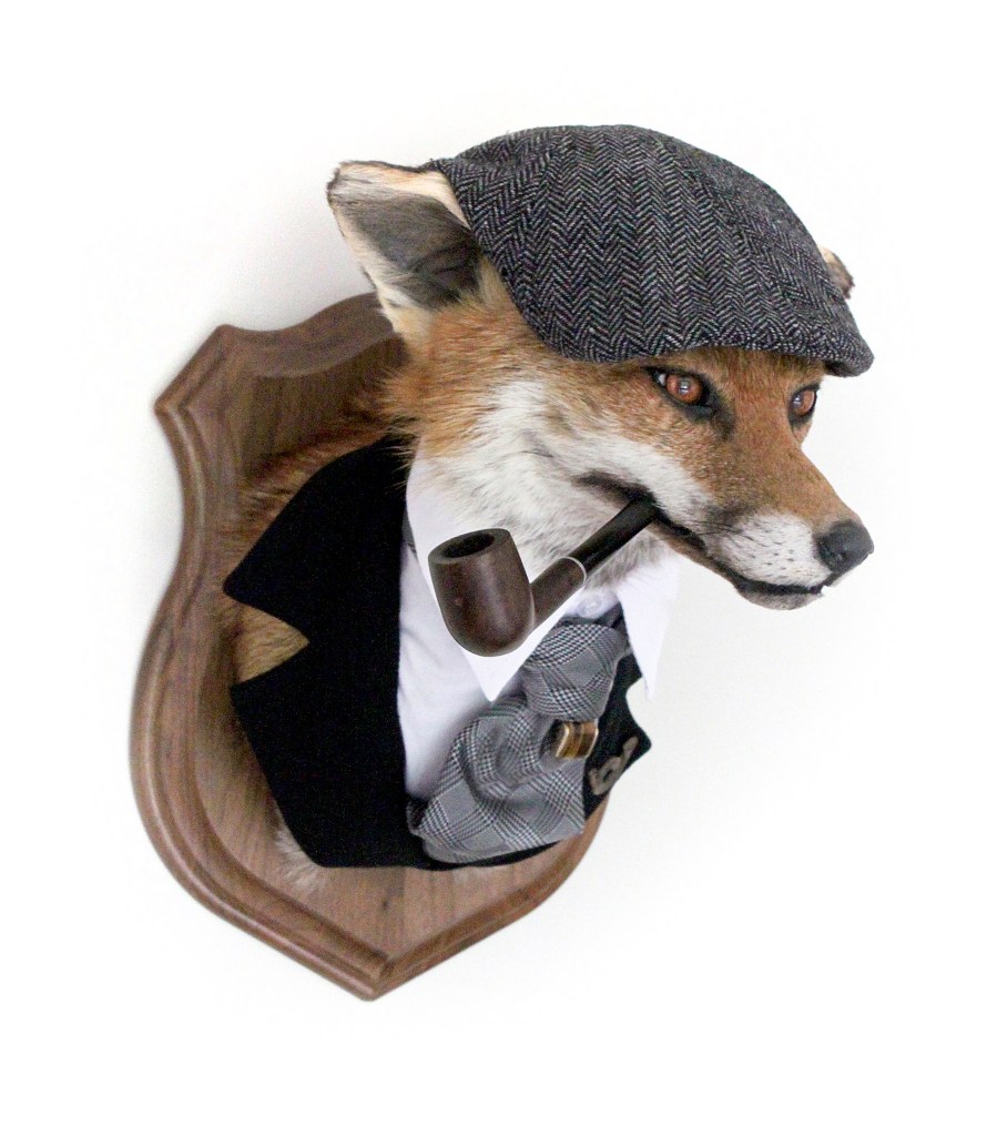 Anthropomorphic Taxidermy chap Fox by Lucia Mocnay