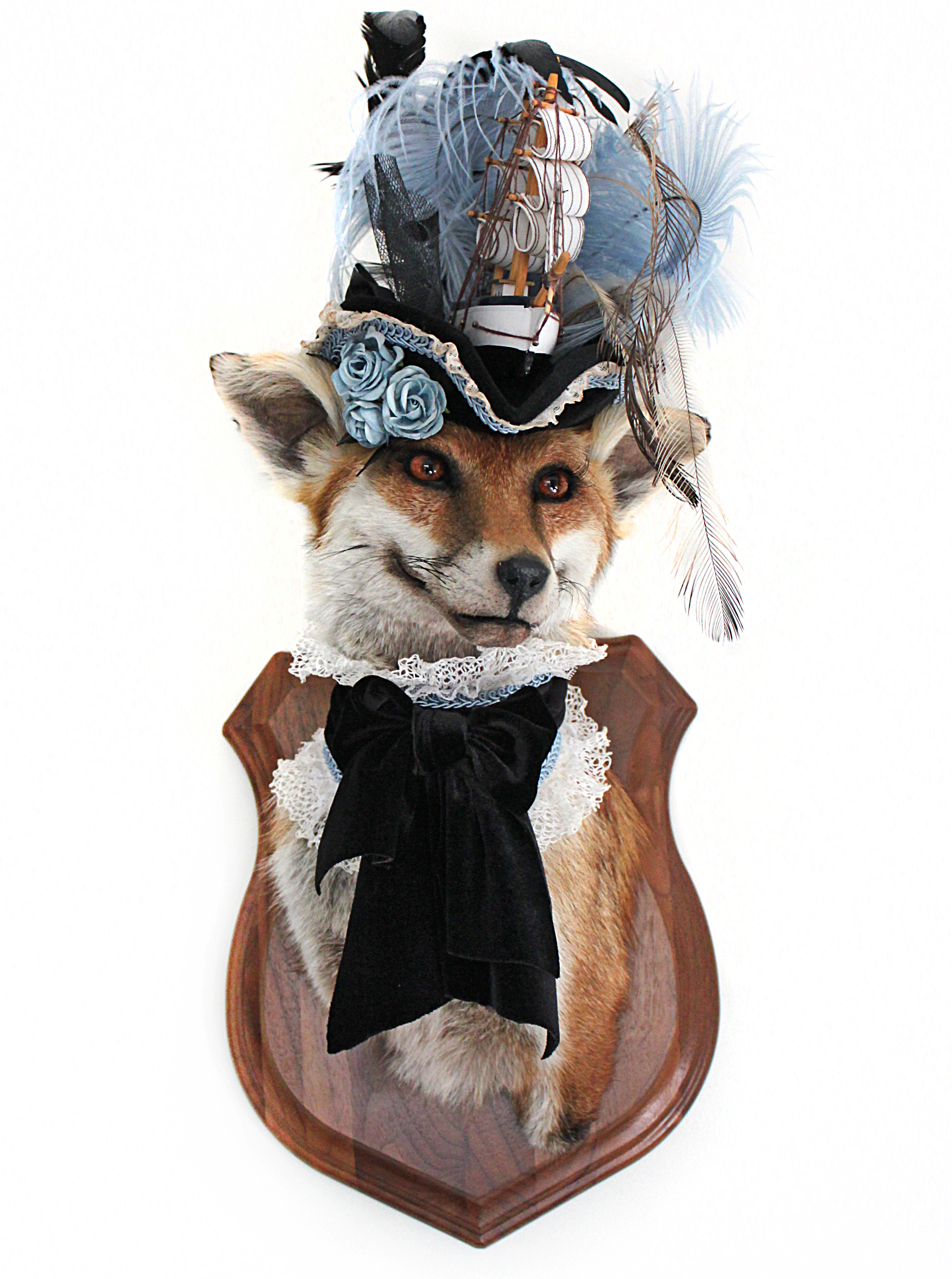 Anthropomorphic Taxidermy Art Fox Lady with Ship Hat by Lucia Mocnay