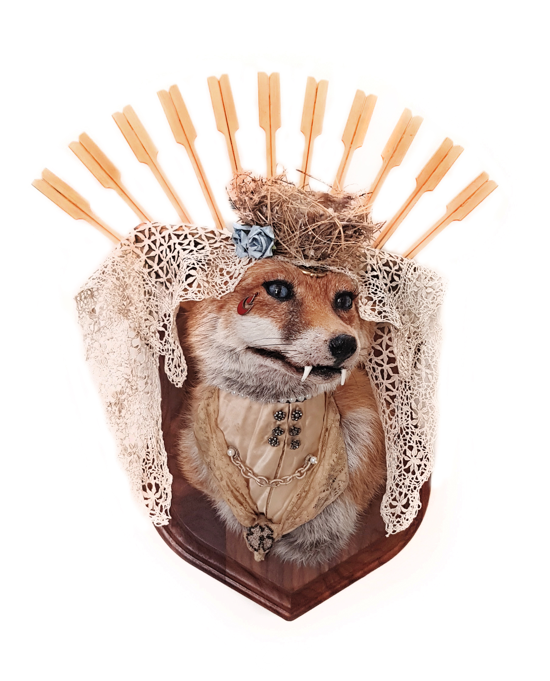 Anthropomorphic Taxidermy Art Fox Vampress by Lucia Mocnay